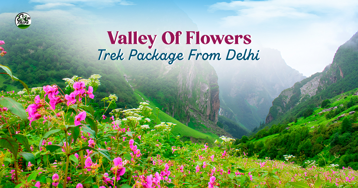 Valley of Flowers Trek Package 